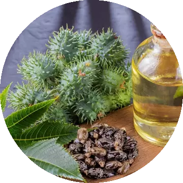 Black Castor Oil